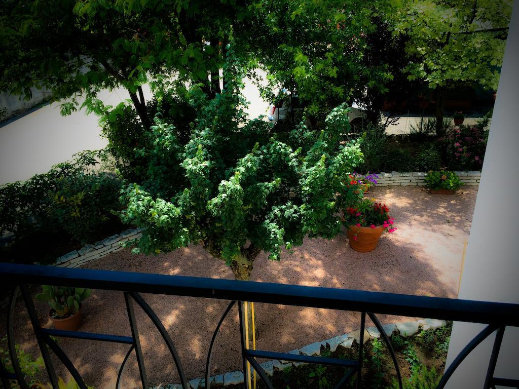 Bed & Breakfast Don Carlos San Martino di Lupari Εξωτερικό φωτογραφία