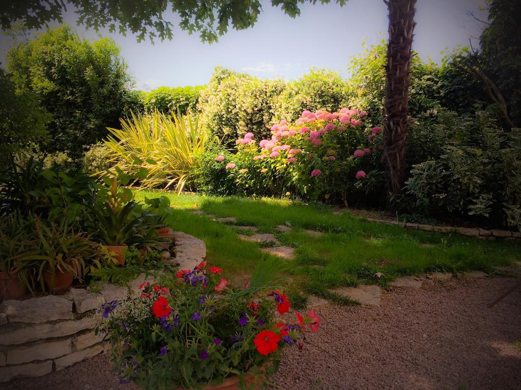 Bed & Breakfast Don Carlos San Martino di Lupari Εξωτερικό φωτογραφία