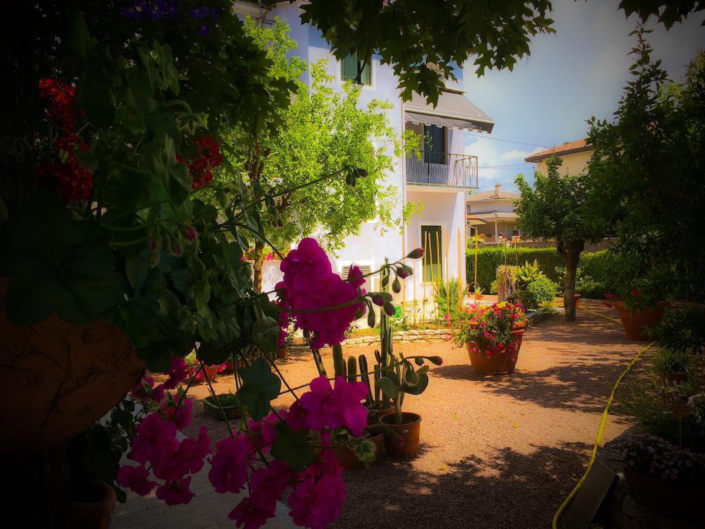 Bed & Breakfast Don Carlos San Martino di Lupari Εξωτερικό φωτογραφία