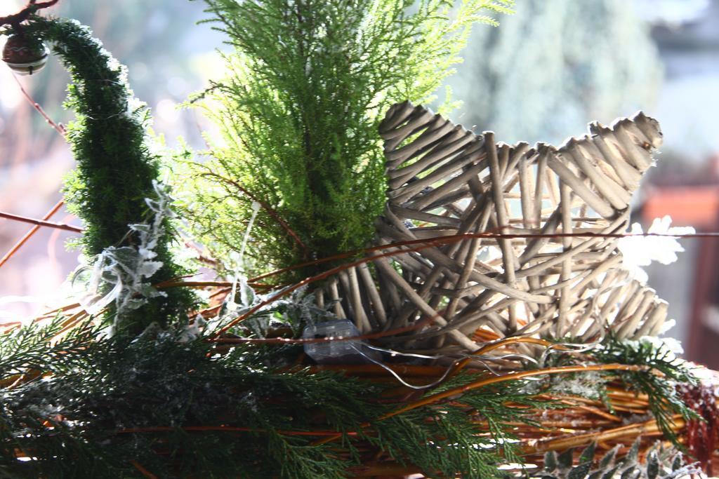 Bed & Breakfast Don Carlos San Martino di Lupari Εξωτερικό φωτογραφία