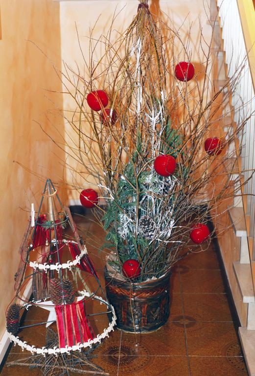 Bed & Breakfast Don Carlos San Martino di Lupari Εξωτερικό φωτογραφία