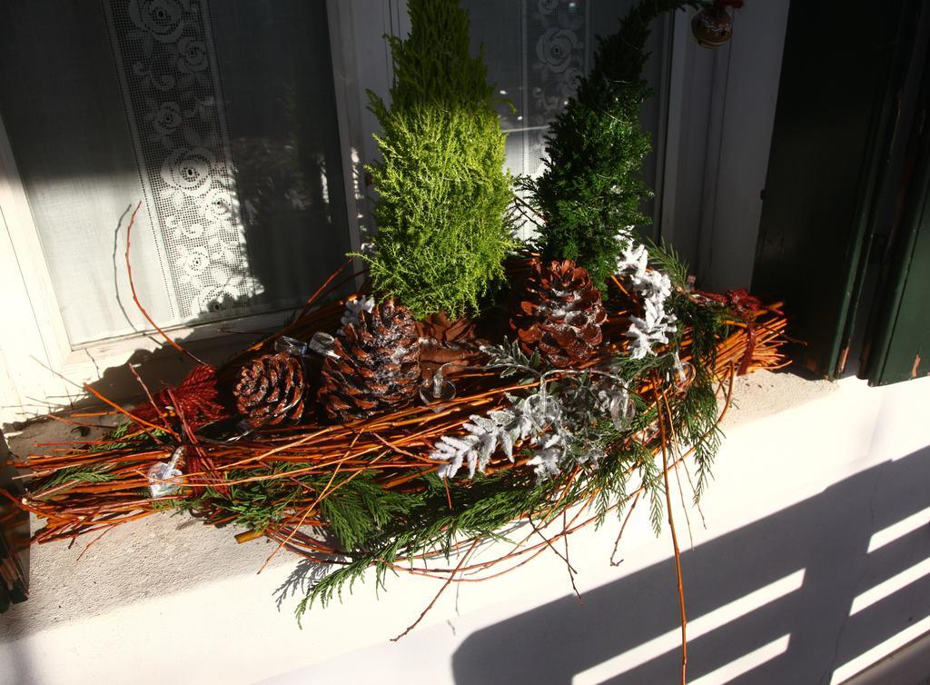Bed & Breakfast Don Carlos San Martino di Lupari Εξωτερικό φωτογραφία